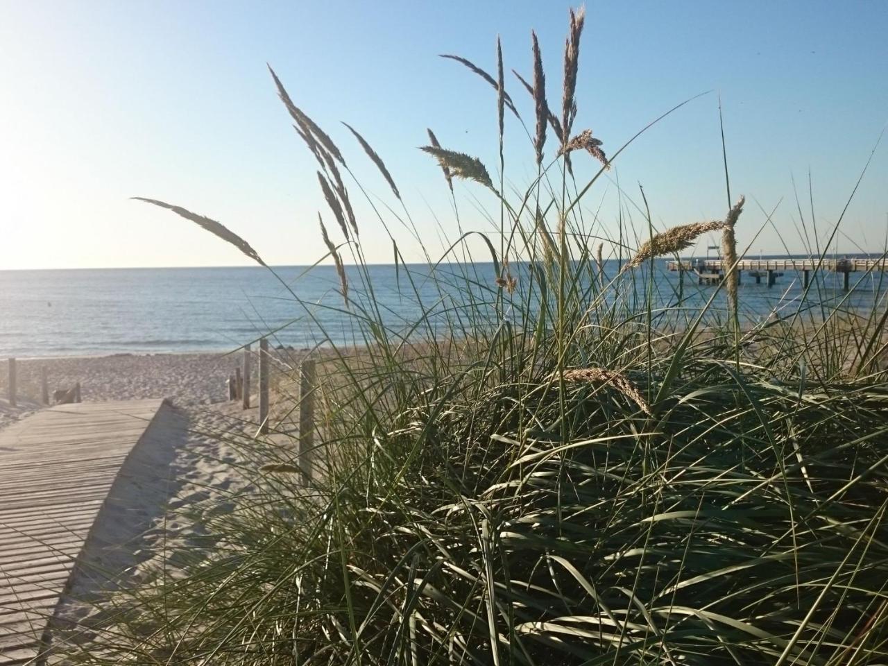 Holiday Home In Rerik Near The Baltic Sea Bagian luar foto